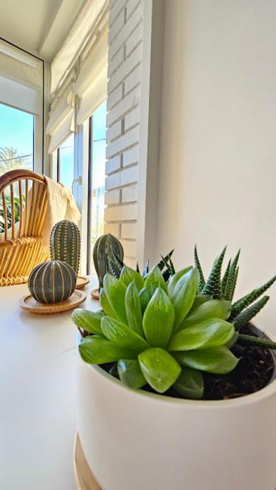 Apartmán Boho Arenal Bol Con Parking Calpe Exteriér fotografie